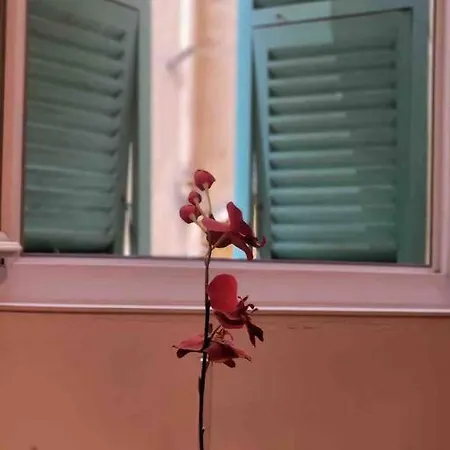 Appartement Vieux Vibrant